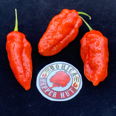 Komodo Dragon - Seeds - The Pepper Pantry (Formerly Marie Sharp's)